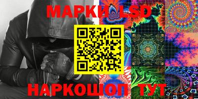 шишки Заволжье